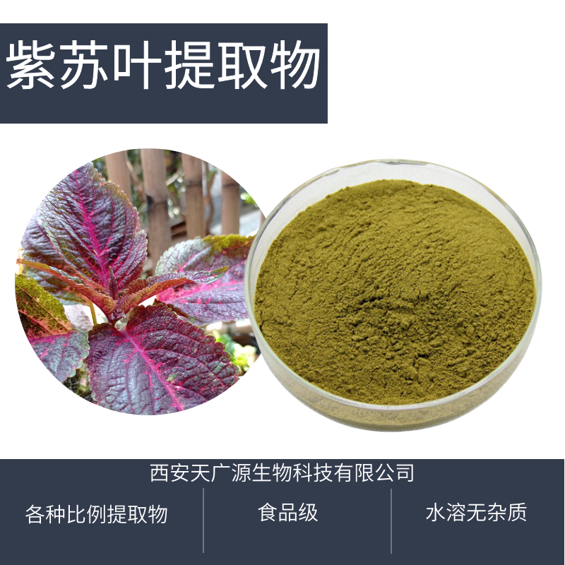 紫苏叶提取物Perilla Leaf Extract