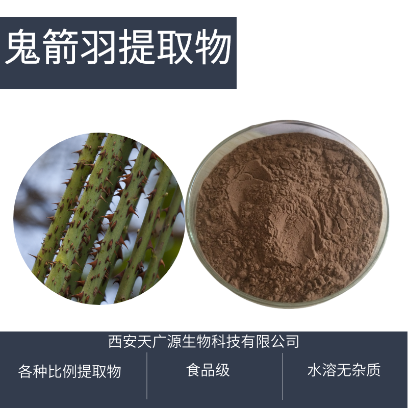 鬼箭羽提取物Euonymus alatus extract